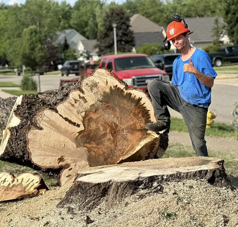 My Tree Guy crew working on tree removal in a West Michigan residential neighborhood