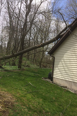 storm damage services Wyoming